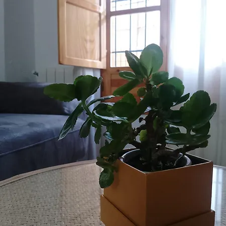 La Tesela Priego de Córdoba